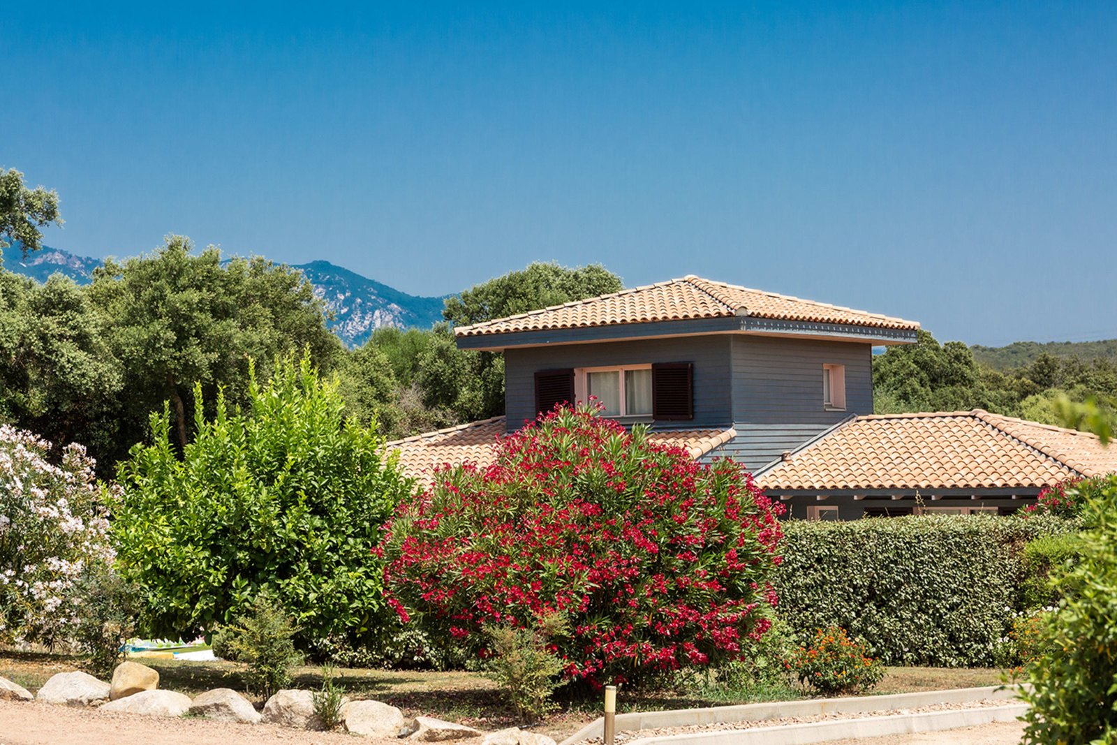 Les Citronniers — Villa Macchia, Villa mit privatem Pool in Figari