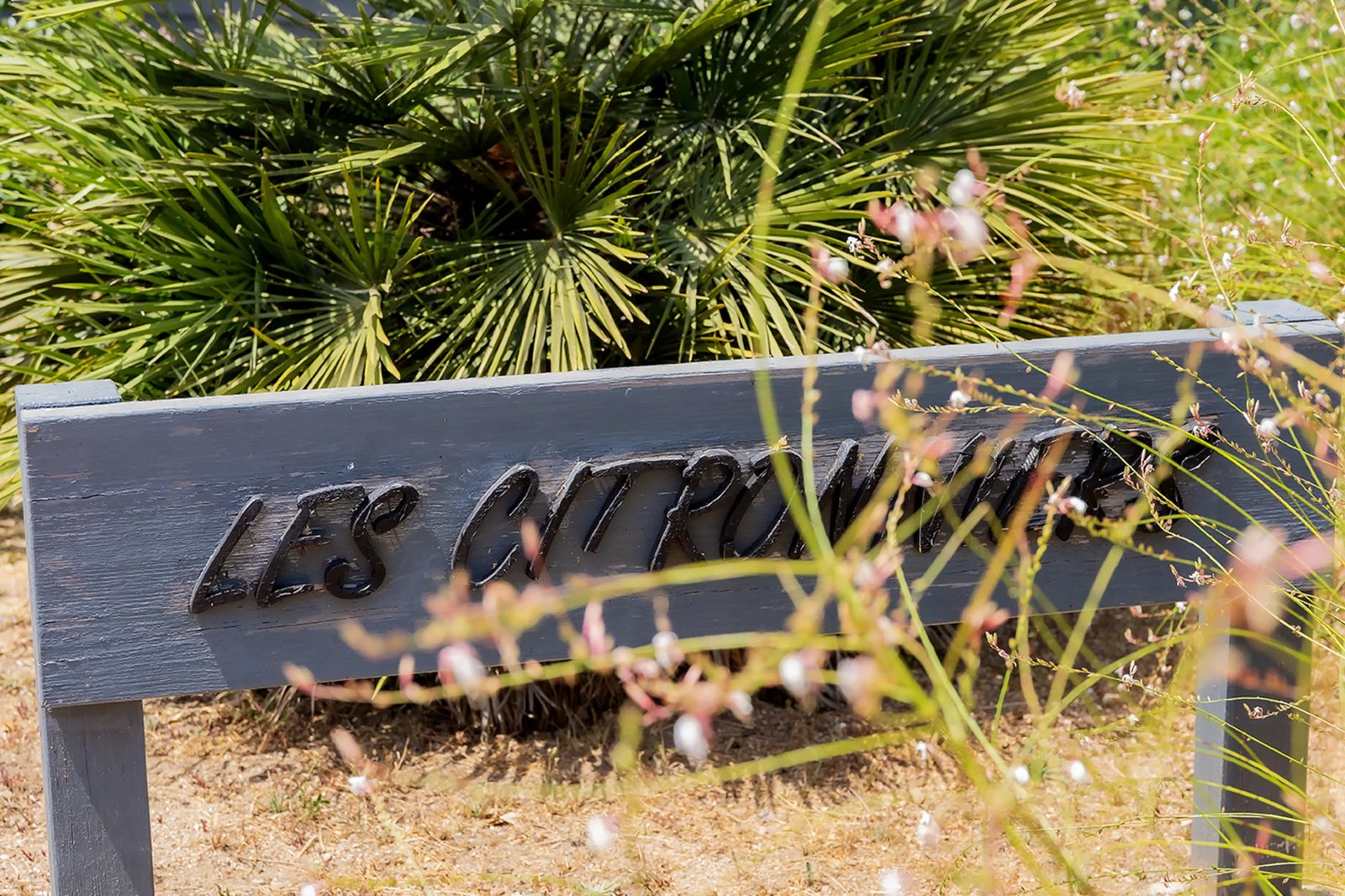 Les Citronniers — Schild, Villa mit privatem Pool in Figari