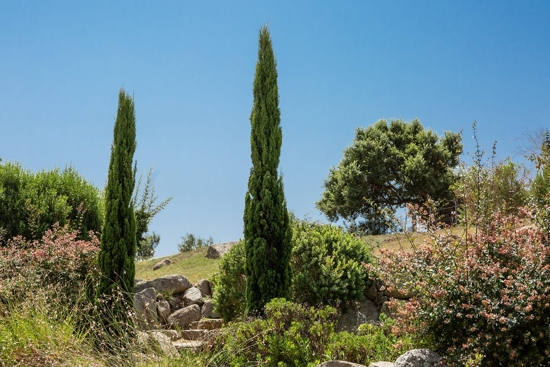Les Figuiers — piscine jardin, villa avec piscine privée à Figari