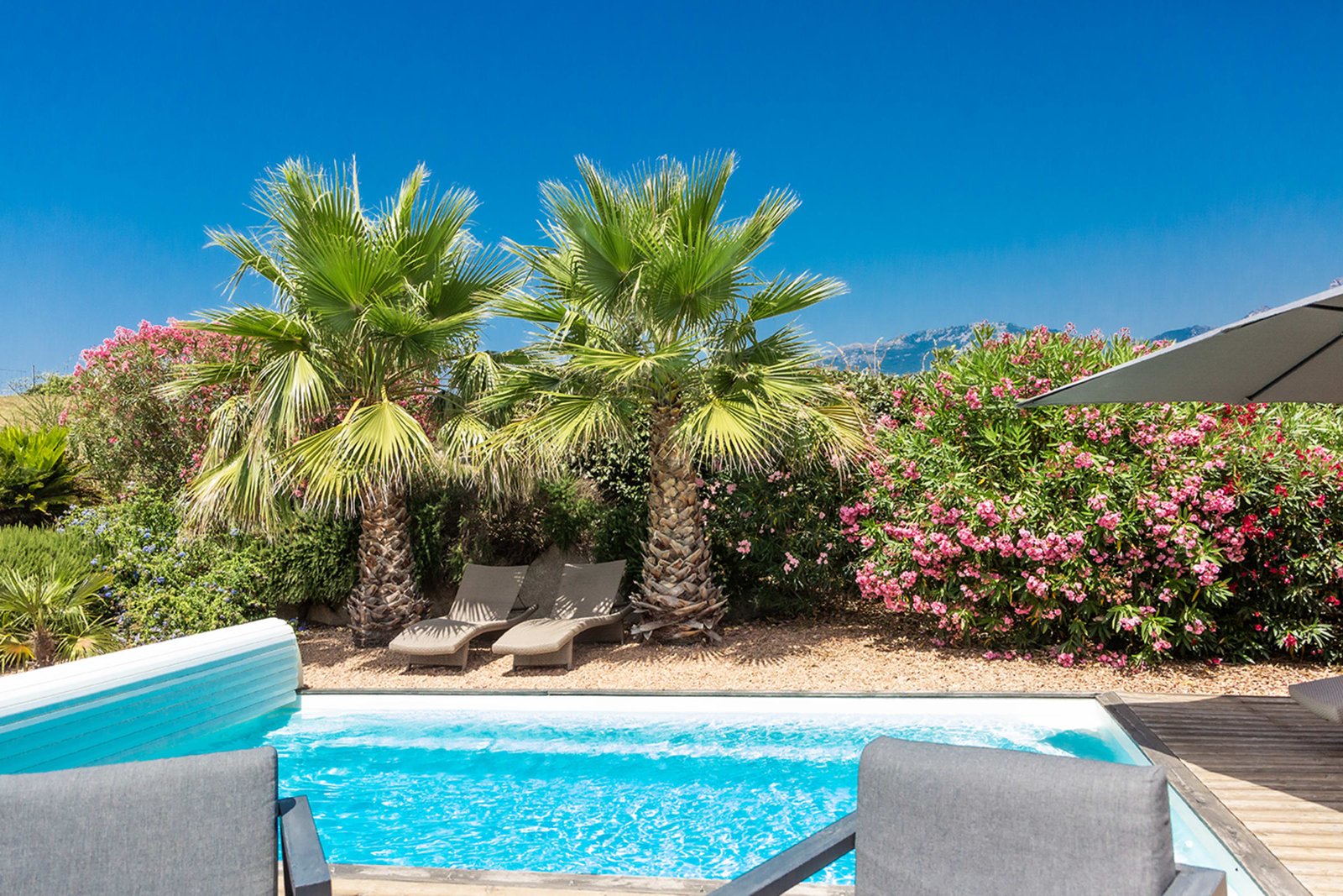Les Myrtes — pool palm trees, villa with a private pool in Figari