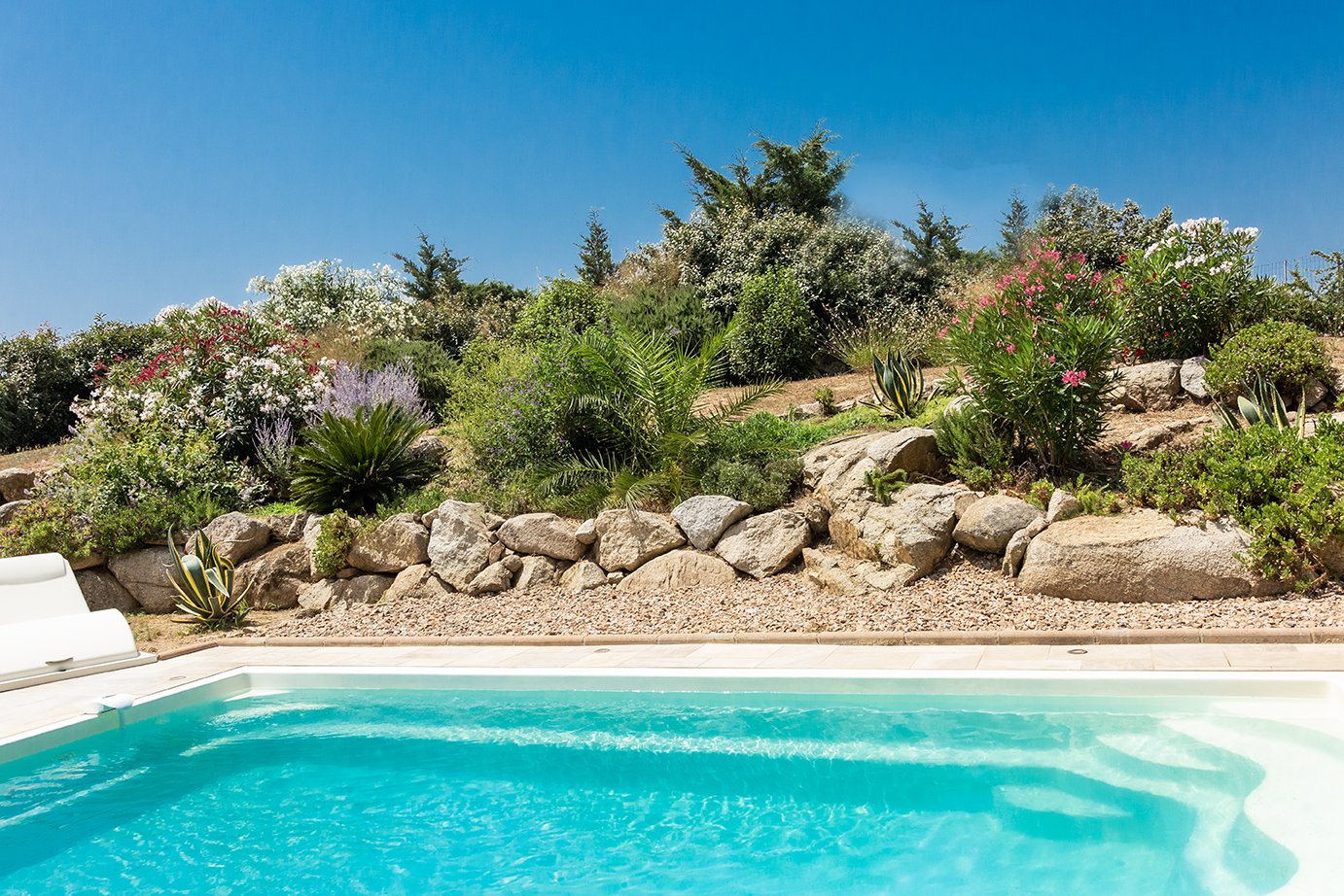 Les Oliviers — pool planting, villa with a private pool in Figari